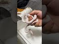 ひゅ〜ポンって #爬虫類 #癒し #可愛い