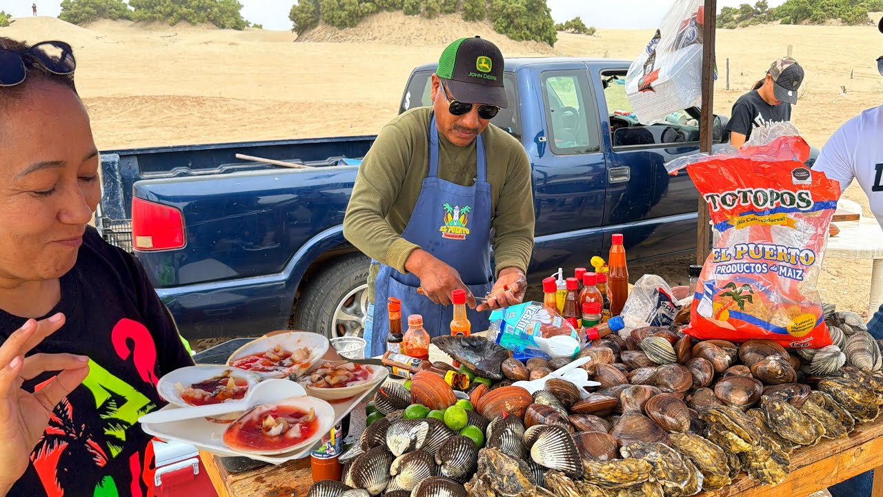 Almejas Vivas en la Playa | Callo de Hacha al Momento