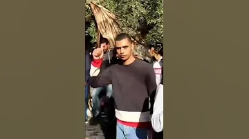 افراح آل الجعارات حفلة العريس محمد عيسى الجعارات الفنان معتصم العمر شاعر المجوز احمد ابو ريما 