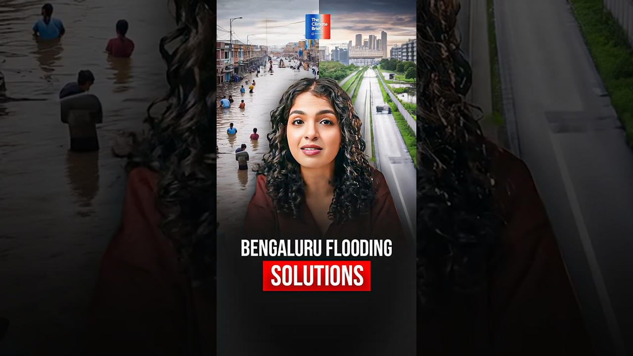 How Can Bengaluru Stop Flooding Every Monsoon?