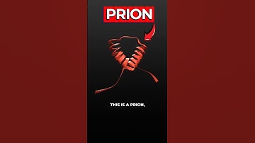 Het waargebeurde verhaal van het gezin dat vergat te slapen