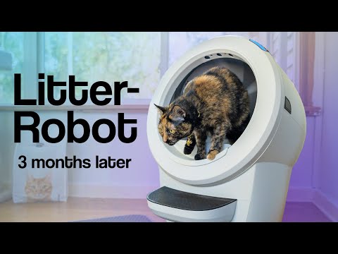 Robo Cat Box