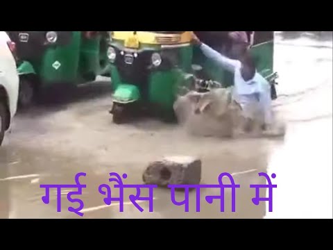 funny-moments-on-indian-road!-a-man-fall-from-the-auto-in-the-raining-water!