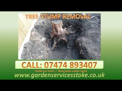 Multiple Tree Stump Removals -Staffordshire