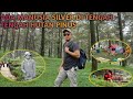 Download Lagu HUTAN PINUS LIMPAKUWUS || Purwokerto Baturaden