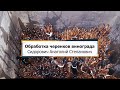 Обработка черенков винограда, этап 2