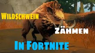 Wie Zähmt man ein Wildschwein in Fortnite?