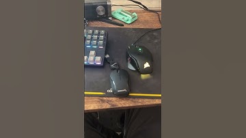 who actually uses these mice? #pc #mouse