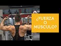 Guía para empezar el gimnasio con el pie derecho - PARTE 1