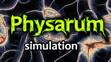 Physarum Simulation: Experiments with the Algorithm