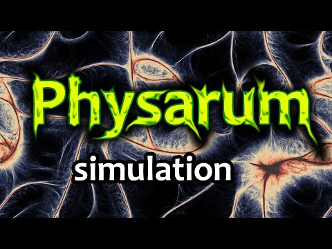 Видео: Physarum simulation. Эксперименты с алгоритмом