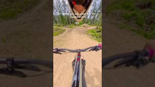 The biggest fear of most biker #mtb #bike #biking #shorts #amtb #downhill #mountainbike