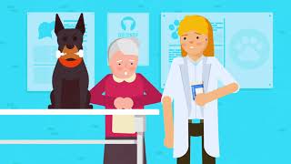 Explainer Video (Specials Manufacturer) - Promo Video Lab