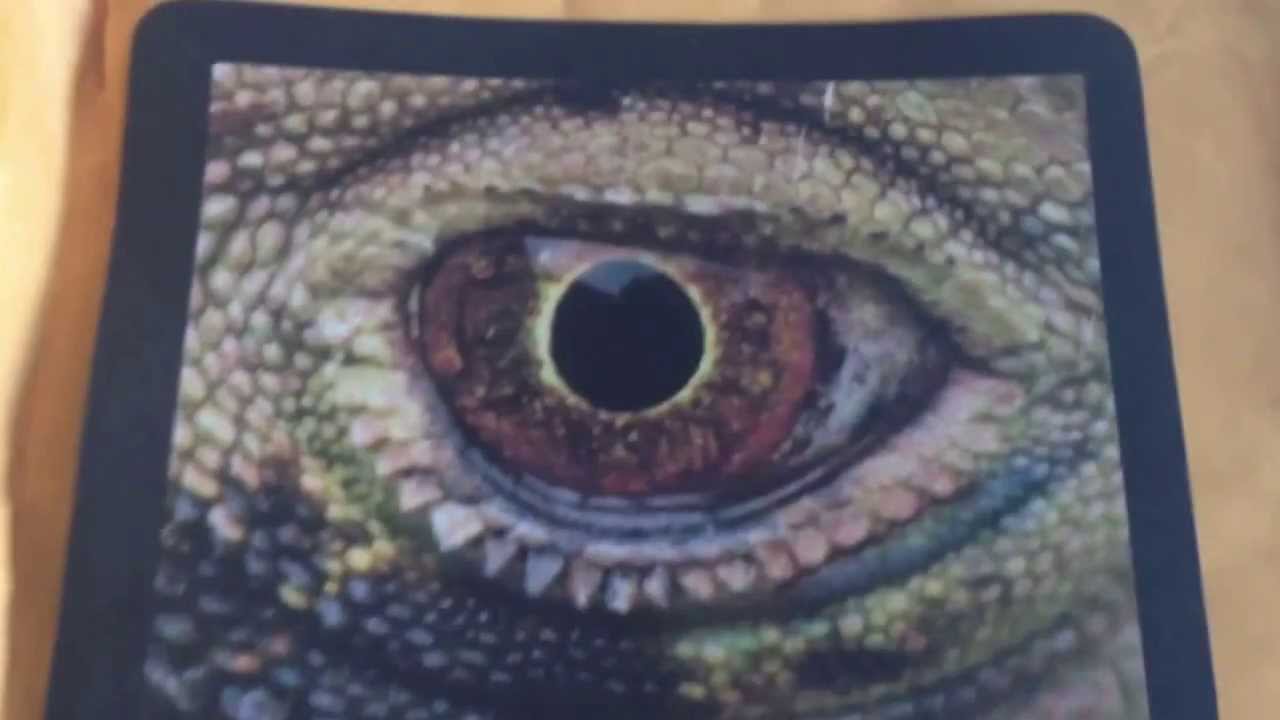 geckos for sale Shout-out/Thank-you Video for Holalola0707