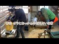 【76歳ヤギ飼い#40】オラとおっかぁのある日の事「72歳からの楽しいシニアライフ#73」