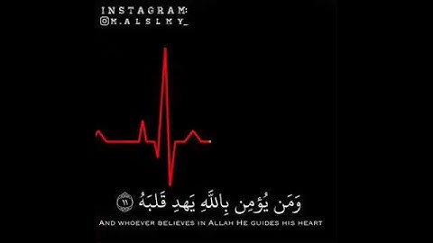 سورة التغابن - مَا أَصَابَ مِن مُّصِيبَةٍ إِلَّا بِإِذْنِ اللَّهِ ۗ  ( القرآن الكريم )