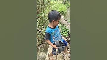 singkomg hasil alam‼️langsung kitaa akan eksekusi#alam#bakar#singkong#shortvideo#reels#petualangan