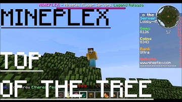 The Top of Mineplex (The Tree)