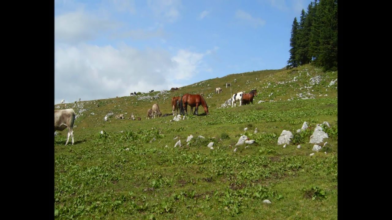 Menina planina