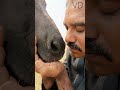 என்னது கழுதை மூச்சை உரியரதா | Village Dictionary  #india #tamil #agriculture #farming #villagelife