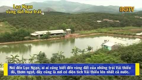 Lục Ngạn - Vùng Đất Hoa Trái