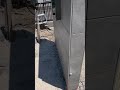 タイル 2液での点付け施工#タイル