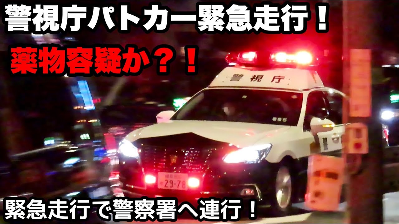【薬物容疑か？！】緊急走行で警察署へ連行してくる警視庁のパトカー！ - YouTube