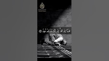ففروا إلى الله ❤ || سورة الذاريات || أحمد عصام #quran #قرآن #short #قرآن_كريم #qurantilawat