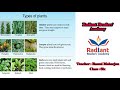 Types Of Plants || Class 6 || Science || Radiant Readers' Academy
