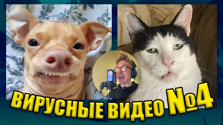 ВИРУСНЫЕ ВИДЕО / Подборка смешные моменты №4