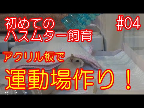 ハムスターケージ　アクリル板 加工 ハムスターケース セミオーダー | アクリ屋ドットコム