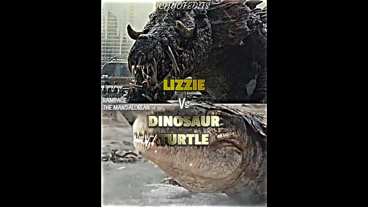Lizzie vs Dinosaur Turtle 