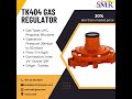 🔥🔥 Incredible Offer! 🔥🔥 Gas Regulator at a 20% less than market price!