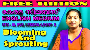 Victers Channel STD 3 EVS Unit 1 Blooming and Sprouting Part 5 CLASS 3 Poothum Thalirthum WORKSHEET