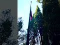 Inaugurazione del Parco della Rimembranza alla Spezia