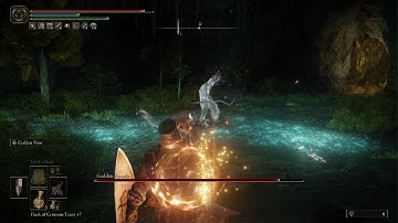 Bosses do not read your inputs in Elden Ring