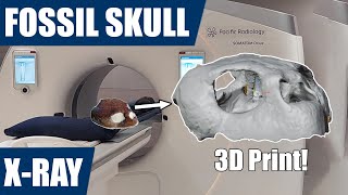 X-raying a fossil skull to create a 3D model and then print it
