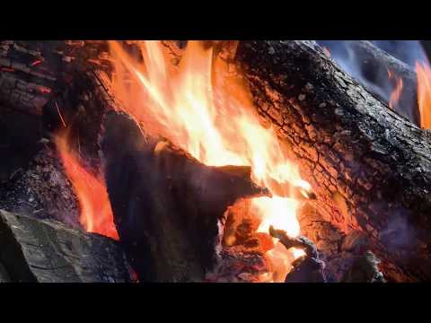 QVEVRI ქვევრი by Levan Kitia