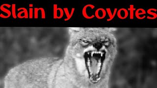 Taylor Mitchell - The only adult death by a coyote.