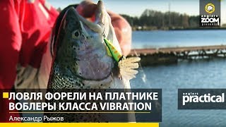 Советы по подбору эффективной снасти для успешного лова форели на платных прудах