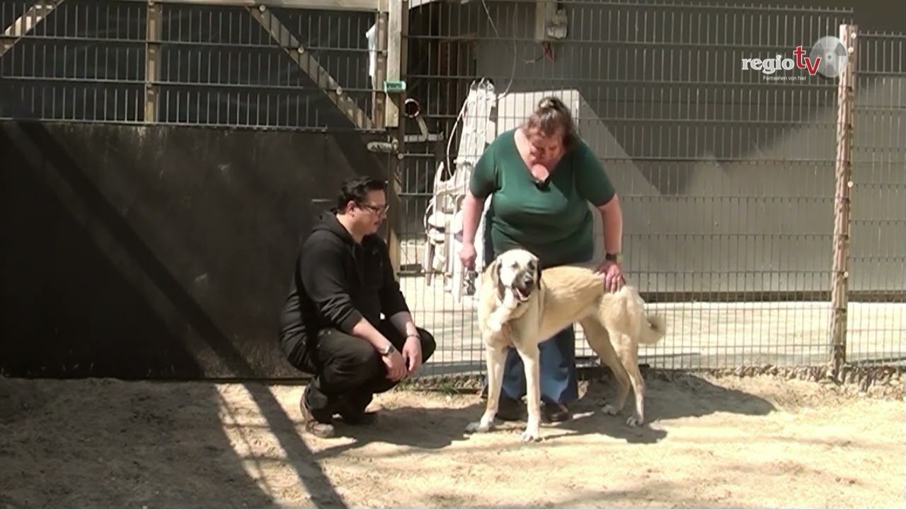 D2vH Staffel 2 Folge 3