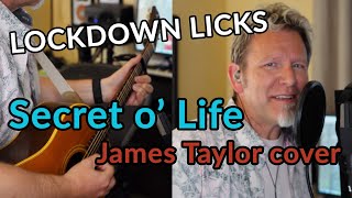 LOCKDOWN LICKS: Secret O’ Life (James Taylor cover) — Robert Cassard — Guitar Discoveries