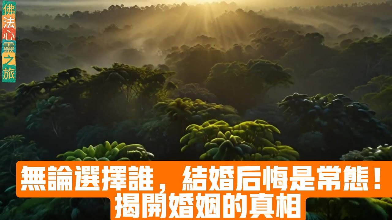 無論選擇誰,結婚後悔是常態!揭開婚姻的真相 - YouTube