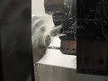 #cnc #engineering #machine