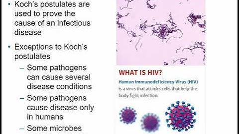 2117 Chapter 14 - Principles of Disease and Epidemiology