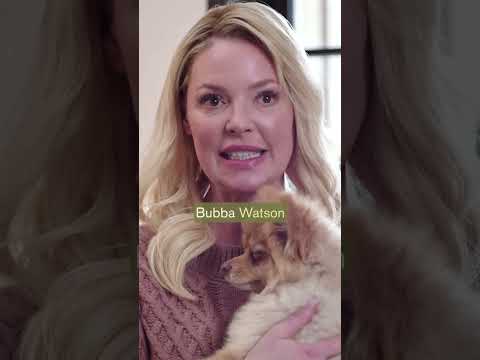 Video: Katherine Heigl lanseeraa eläinten väärinkäytön lopettamiseen tarkoitetun Pet-linjan