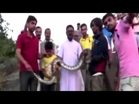 Selfie with a python? Think again