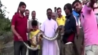 Famous Selfie with a python? Think again Wealth