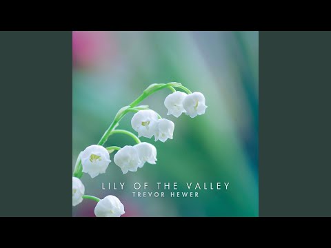Lily of the Valley