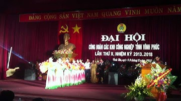 đại hội công đoàn khu công nghiệp tỉnh vĩnh phúc 2013~2018